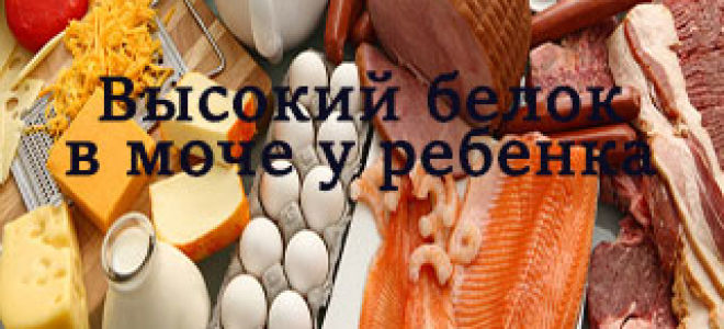 Причины повышения у ребенка белка в моче