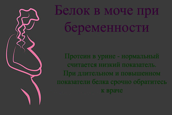 Белок в третьем триместре беременности. Белок в моче при беременности. Белок в моче у беременной. Белок в маче прибеменности. Белог в моче при беремности.