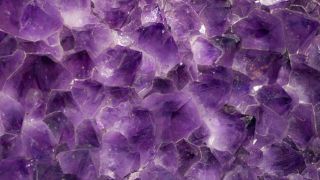 Фиолетовые клетки