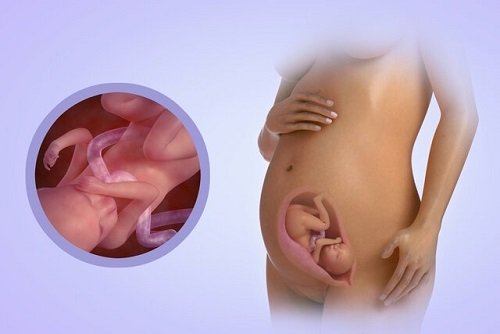 Применение возможно на любом сроке беременности